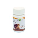 NEFRO-Guard (KIDNEY) 60 Tabs/Bottle