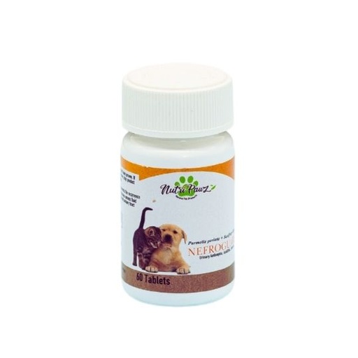 NEFRO-Guard (KIDNEY) 60 Tabs/Bottle