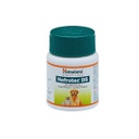 Nefrotec DS Tabs 60 tabs/bottle