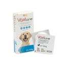 VAXILANER 20-40kg (Blue)