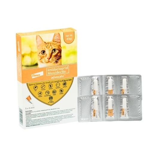 Advocate Cat Small (Orange)
