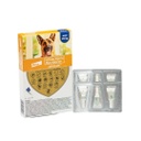 Advocate Dog XL (Blue) 25-40kg